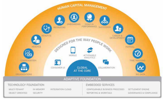 All ABOUT Workday HCM ACTE