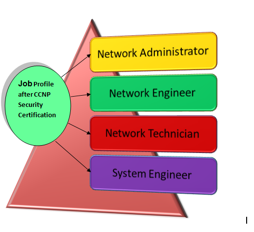 CCNP career path - ACTE