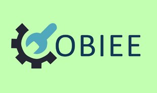 OBIEE career growth