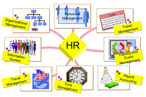 SAP HR - ACTE