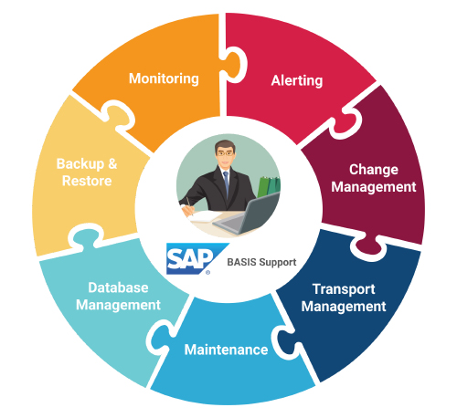 Scope of SAP Basis