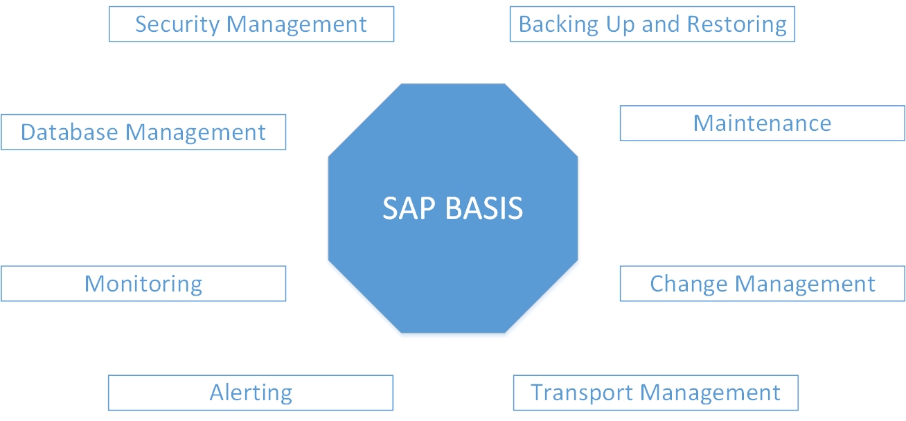 The Importance of the SAP Basis Cloud Computing ACTE