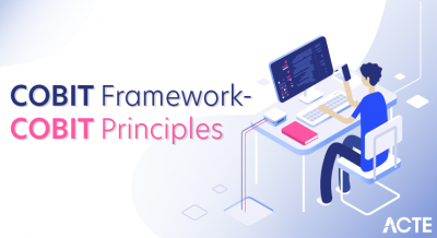 What is COBIT Framework - COBIT Principles