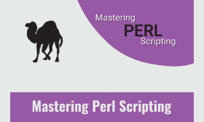 perl scripting training acte