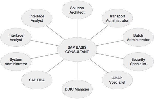 sap basis consultant - ACTE