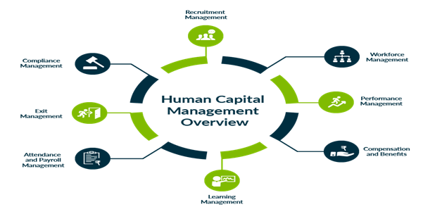 steps to build a career in SAP HCM ACTE