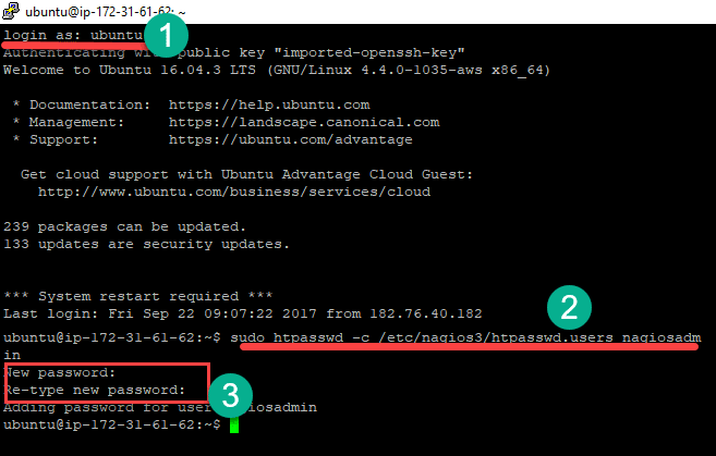 Installing Nagios at AWS-Step 11