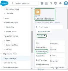 Salesforce Objects Tutorial Learning Path - Complete Guide [ Step-In ...
