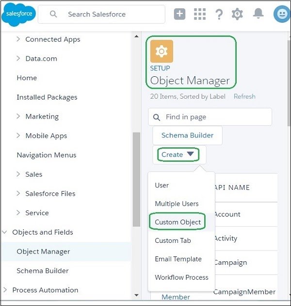 CREATE A CUSTOM OBJECT