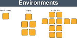 ENVIRONMENT