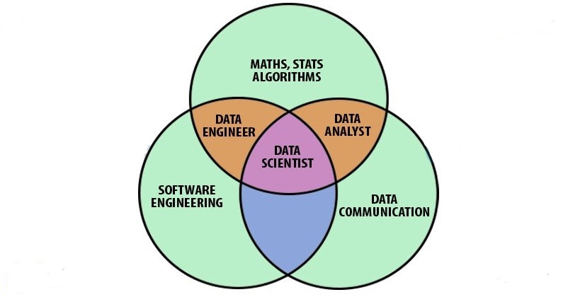 roles and responsibilities of data analyst
