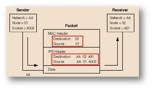 CCNA Tutorial