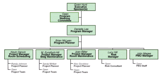 PROGRAM GOVERNANCE STRUCTURE AND ROLES