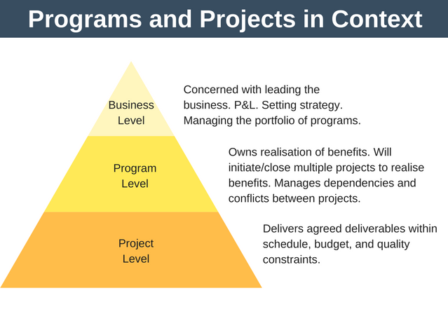 Programs-Projects-and-the-Business-1