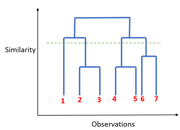 SIMILARITY VS OBSERVATION
