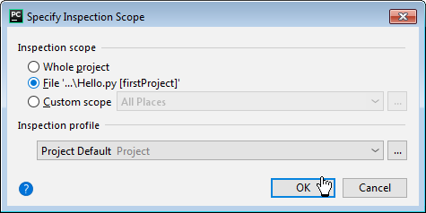 SPECIFY INSPECTION SCOPE