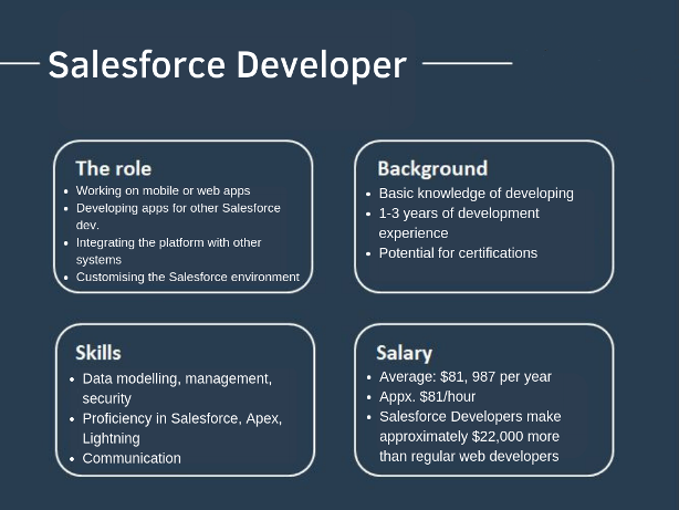 Salesforce-developer-image