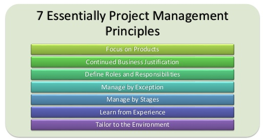 Programme Management Principles Tutorial