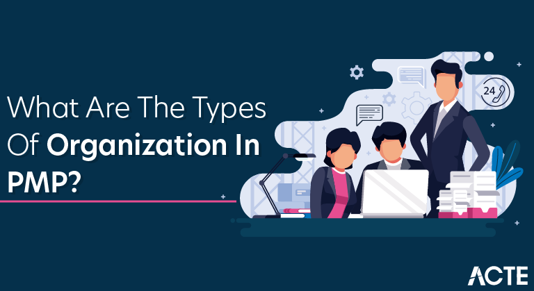 What Are The Types of Organization In PMP