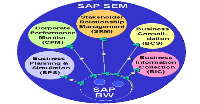 What Is Strategic Enterprise Management and its Components?