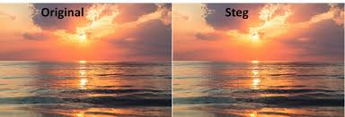 advantage-steganography