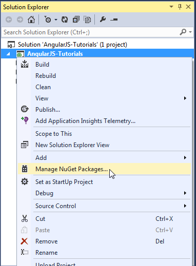 angularjs-setup-env-02