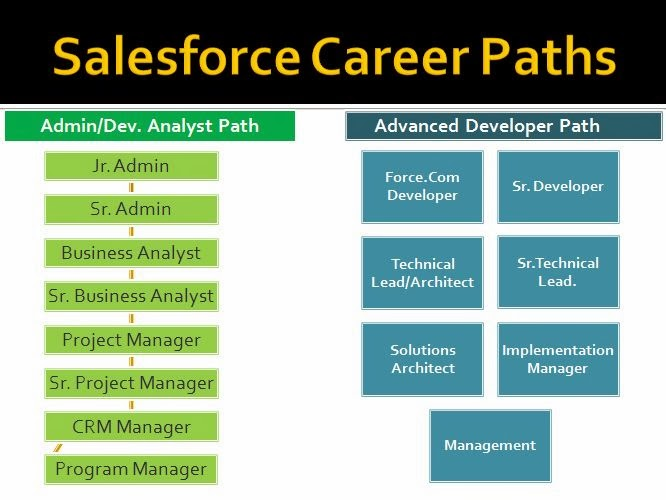 salesforce career paths