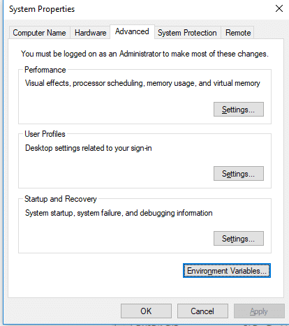 environment variable