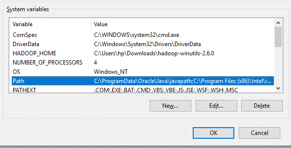 Edit Path in system variable
