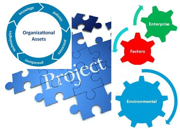organisation-assest