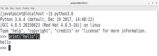 execute the valid python statemts.