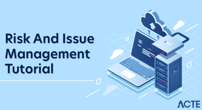 risk and issue management tutorial