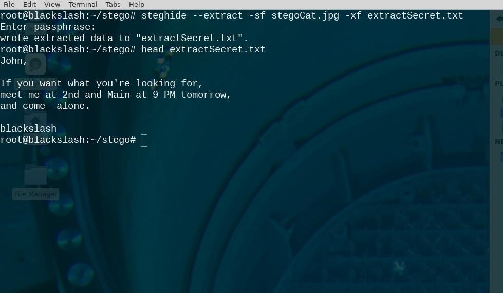 steghide-extract-stegofile-outputfile
