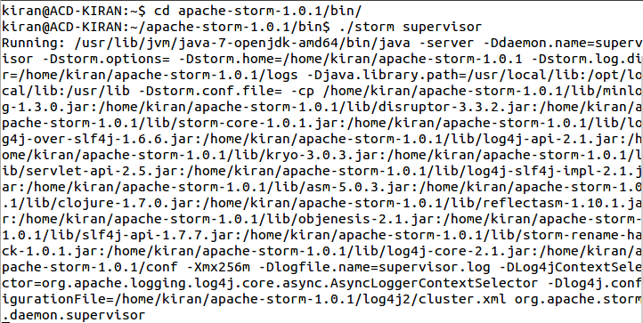 storm-starting-supervisor