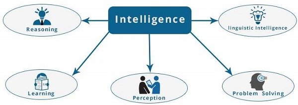 Components-of-intelligence