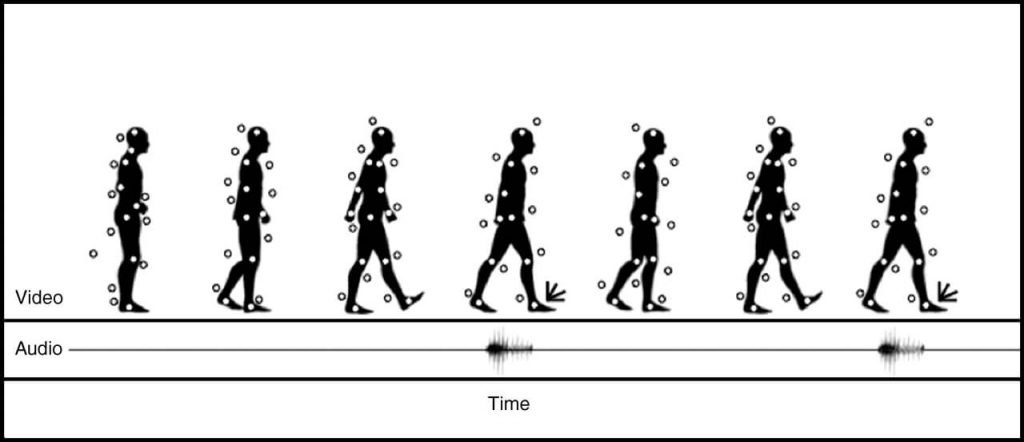 Gait Recognition=Biometrics Tutorial