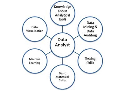 data analyst