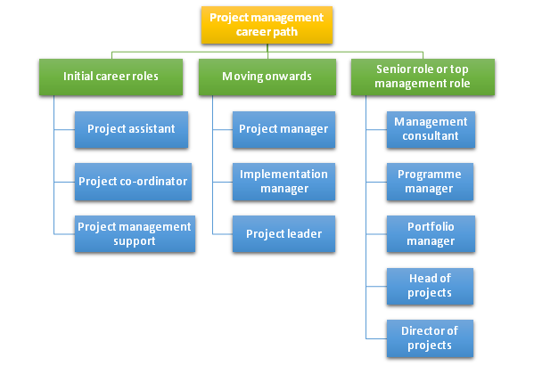 Project-Program-Managers-career-path