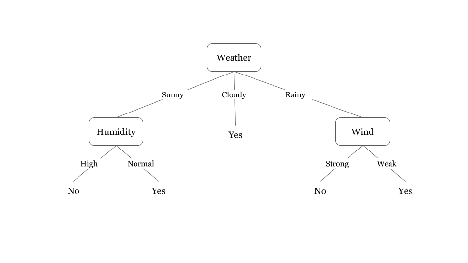 decision tree algorithm