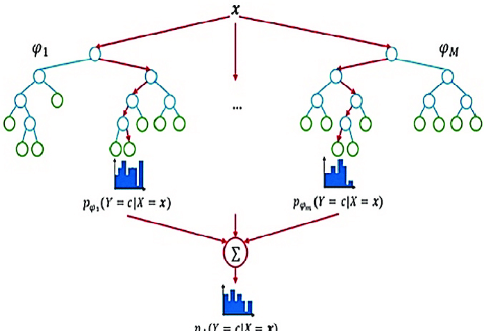 working of random forest algorithm