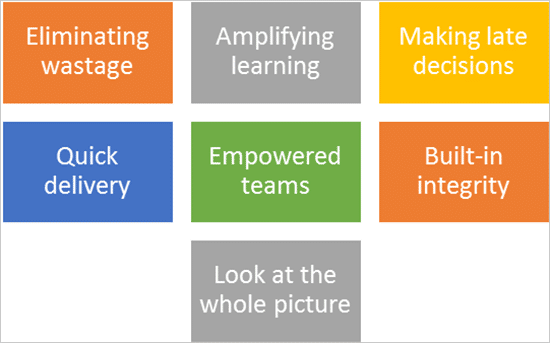 software development-IT project