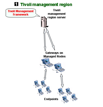 the overview of the Tivoli monitoring environment