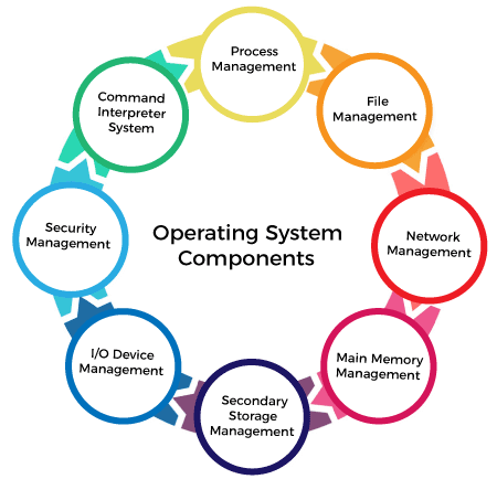 Components and Terminology of Operating Systems