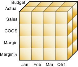 Essbase database