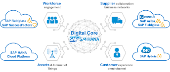 S/4 HANA