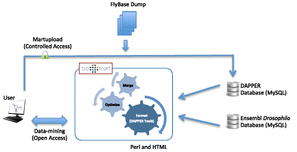 Security challenges in SAP