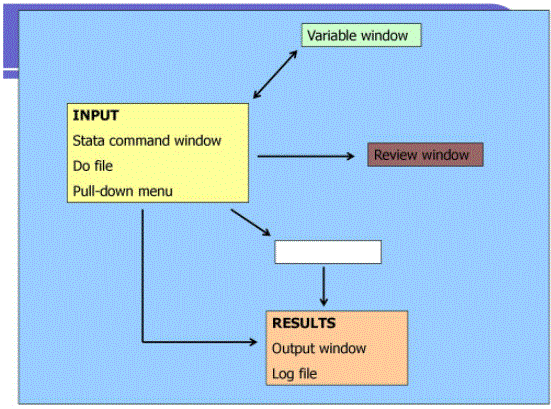 contribution of stata