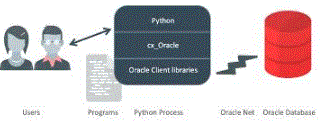 python and oracle databases 