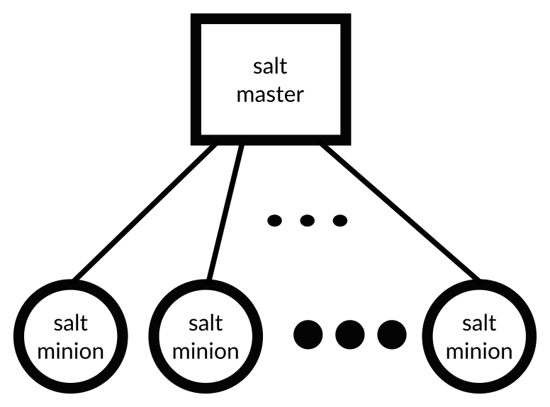 salt runner