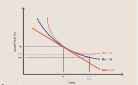 term Convexity